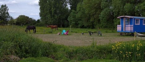 la roulotte avec chevaux en arrière plan