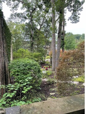 Parco della struttura
