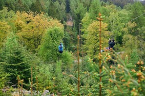 Zip lines in Grizedale Forest in the Lake District