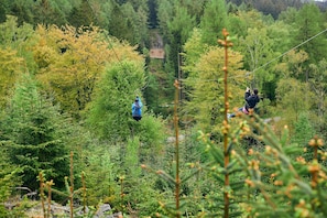 Zip lines in Grizedale Forest in the Lake District