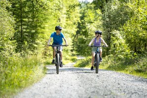 Grizedale Forest in the Lake District