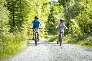 Grizedale Forest in the Lake District