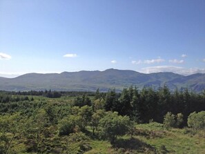 Grizedale Forest in the Lake District