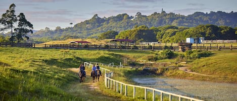 Terrenos do alojamento