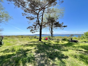 Backyard overlooking the ocean