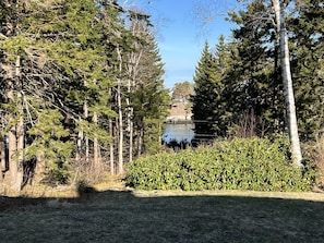 A view of Mackerel Cove.