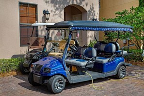 2 golf carts - 1 four seater and 1 six seater!