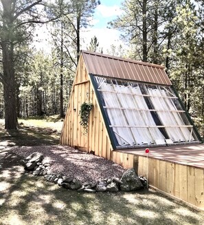 Our 3 Stargazer Convertible A-Frames nestled among 10 acres of pine trees.