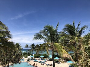 Pool area with the access to the beach ! 