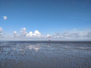 Willkommen im UNESCO Weltnaturerbe Wattenmeer.