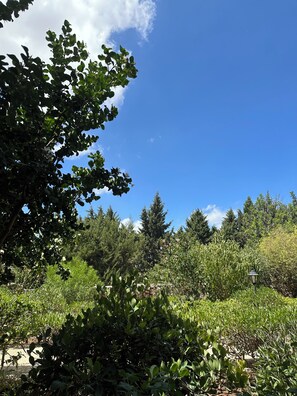 Boendeområde