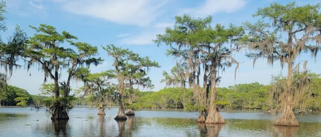 View from boat dock