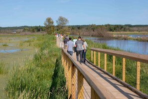 Arcadia Marsh Walk