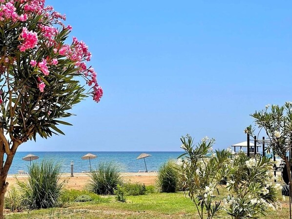 Strand