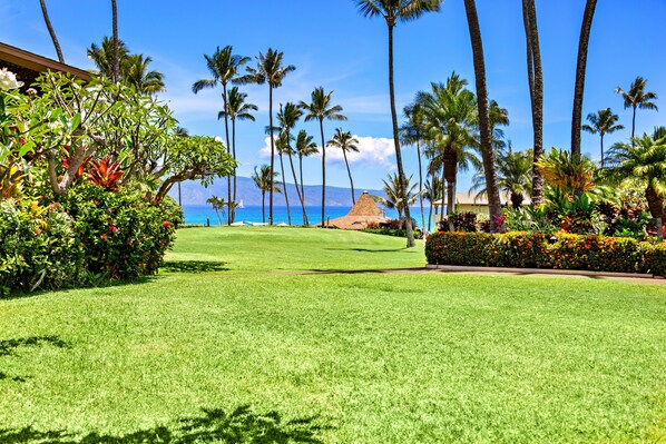 Tropical views from your private lanai
