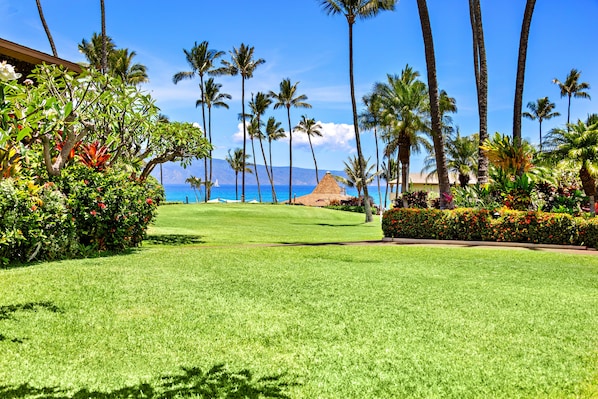 Tropical views from your private lanai