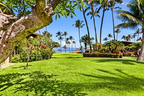 Lush grounds