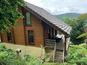 Back view