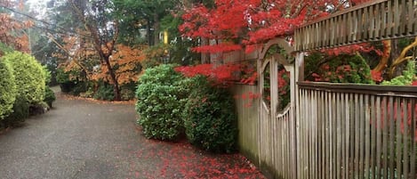 Blue Sky Retreat has constantly changing flora and colours