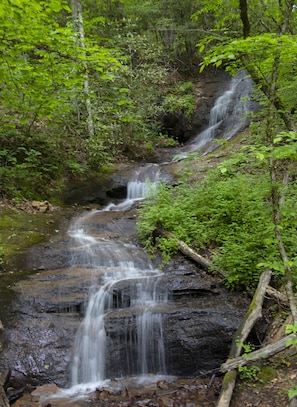This waterfall on Wallace Branch is a short 8 minute walk from the house.