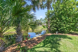 Relaxing view of water from back patio. Wildlife frequent the area