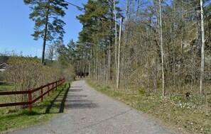 Övrigt