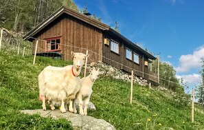 Boendeområde
