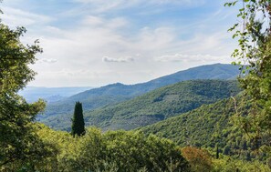 view-from-room