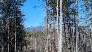 Winter view from front porch 