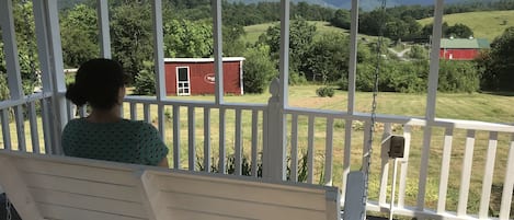Enjoy breathtaking views of the Blue Ridge Mountains from our porch swing.
