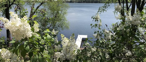 Beautiful view from the deck in the spring 