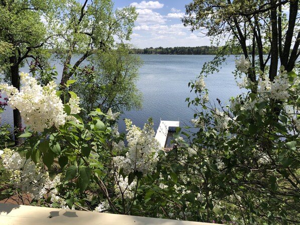 Beautiful view from the deck in the spring 