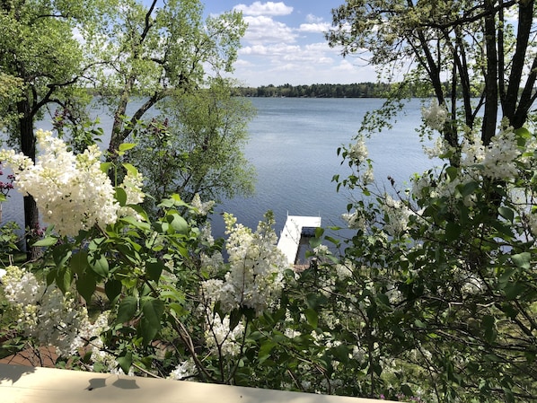 Beautiful view from the deck in the spring 