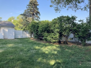 Backyard. 