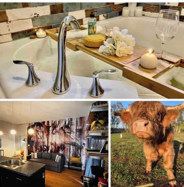 Welcome to the Swedish Cowboy barndominium!