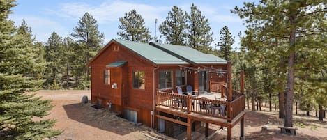 Enjoy the mountains! Relax with your friends or family on the back patio - 