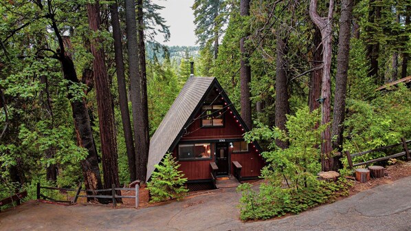 Tucked in the trees. Sway Chalet is the perfect forest escape