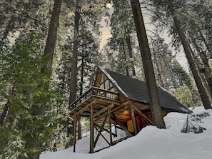 Cabin on stilts!