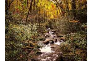 Rolling Creekwaters on property