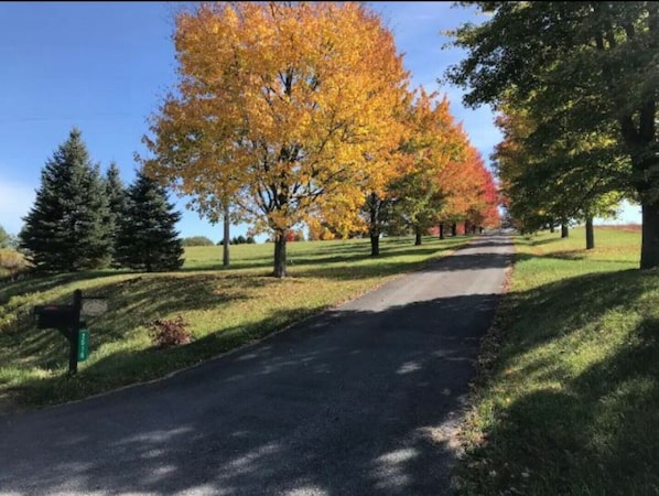 Property Lane Entrance