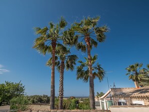 Sky, Plant, Building, Tree, Arecales, Vegetation, Terrestrial Plant, Biome, House, Woody Plant