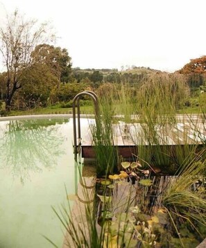 Natural Swimming Pool