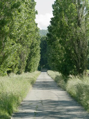 private alley to La Barchessa.

