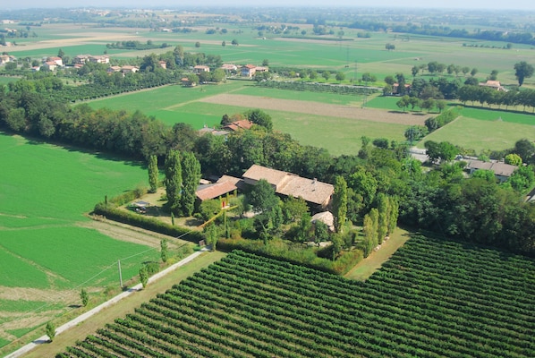 aerial view of the farm