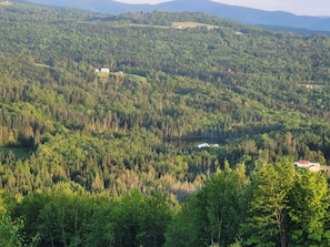 Esterni