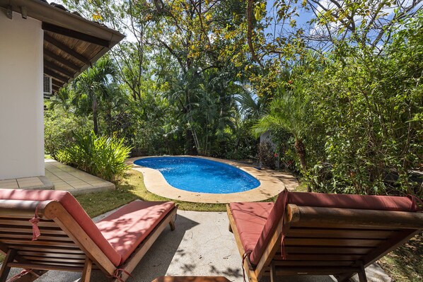 Private pool and back yard