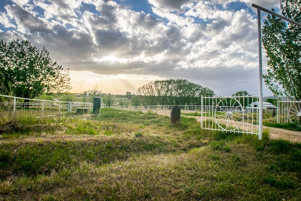 Majestic view from the front yard