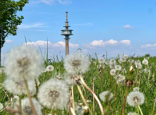 Auszeit am Tor zur Eifel