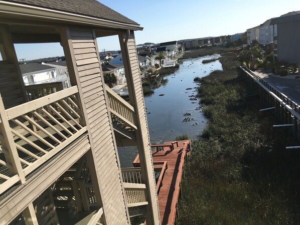 The salt marsh with the Marshhaven dock. Lots of birds to watch over coffee!