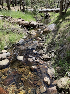 Cold Water Creek that runs along the back property line of this 1-acre parcel.